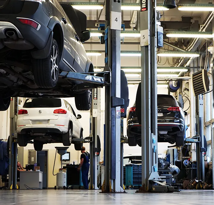 Automotive service bay with cars on lifts